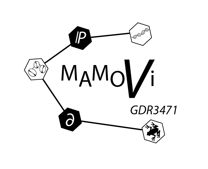 logo_mamovi.jpg